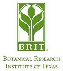 Fort Worth summer camps Camp BRIT
